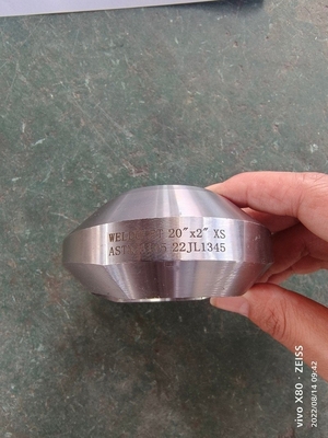 Colocaciones forjadas de la tubería de acero de ASTM A105 F304 6000# Weldolet
