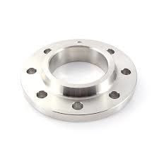 Acceso a las bridas de acero inoxidable DIN 2576 Pn16