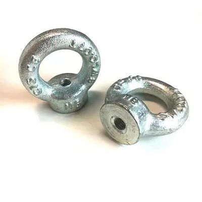 JIS B1168 galvanizó nueces de elevación del ojo de DIN582 SS304