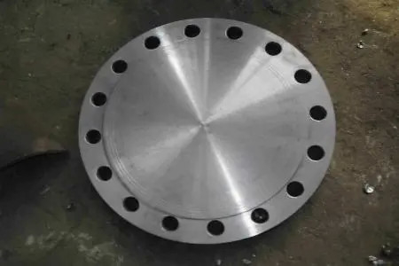 Excelente sellado de aleación de acero A182 F304/304L F316/316L B16.5 Flanca de acero forjado para diversos entornos industriales