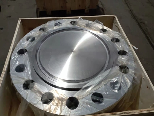Reborde ciego de acero inoxidable 300# ASME B16.5 de los rebordes A182 GR.F51 del duplex