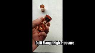 Cuello de soldadura de brida CuNi 90/10 EEMUA 145