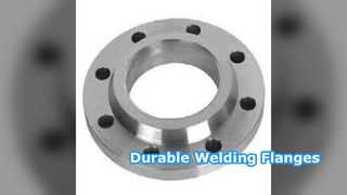 Bridas de cuello de soldadura SS304 SS316 PN6